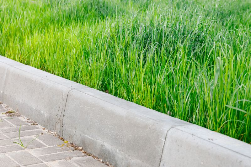 Concrete Curb Removal in Corpus Christi, TX